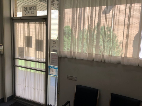 A patient's point of view beginning to leave our denture clinic, looking from inside the waiting room at the shear-curtained door and large window, through which we can see the garden bushes outside