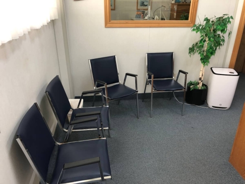 Four of the five chairs in our waiting room, with a large artificial plant, air purifier and small wastebasket on the floor