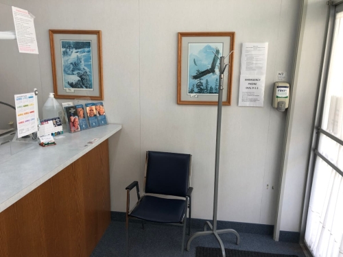 29-The entrance side of the waiting room/reception area showing part of the desk, one of the five waiting room chairs, a coat tree, hand-sanitizer dispenser on the wall, and two large framed wildlife artwork on the wall, one of a closeup of a soaring eagle with its wings spread wide and the other of a closeup of two wolves in a winter setting