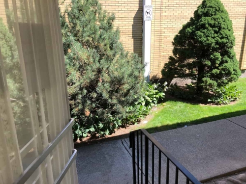 A patient's point of view stepping onto the porch as they leave the clinic, the railing to their right and the garden sidewalk, grass and evergreen bushes below