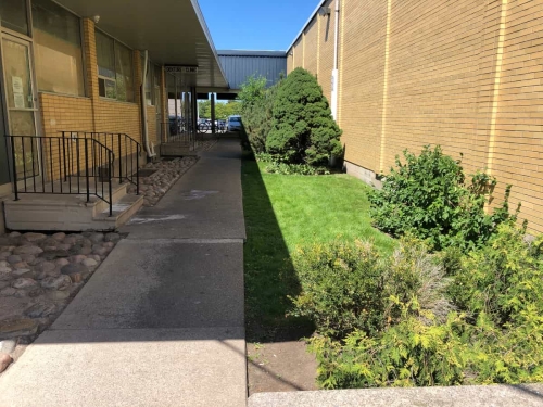 A patient's point of view if they had parked in the rear parking lot behind the Grantham Plaza and were starting to walk down the garden alleyway, with its sidewalk, grass and big bushes, towards our Denture Clinic, seeing our overhang sign above our entrance