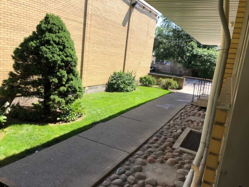 A patient's point of view looking from porch to the rest of the garden alleyway past the denture clinic towards the rear of the plaza
