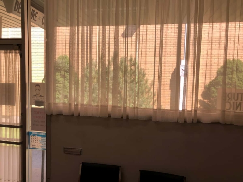 Looking out from the waiting room through the wall-to-wall window with sheer curtains onto the sun-drenched large bushes and next building wall in the garden alleyway
